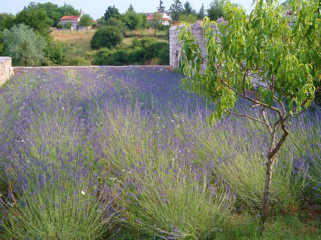 Holiday Home Hedera Svetvincenat Croatia