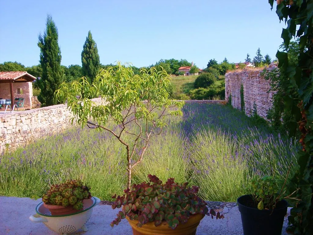 Holiday Home Hedera Svetvincenat