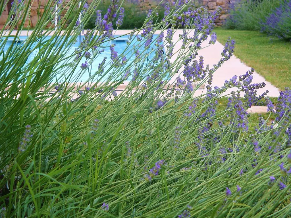 Holiday Home Hedera Svetvincenat
